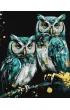 Ideyka Malowanie po numerach - M�dre sowy 40x50cm