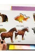 Zwierz�ta. Akademia m�drego dziecka. Kolorowy �wiat malucha
