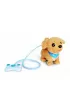 Piesek Chi Chi Love. Loomy Golden Retriever Simba