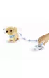 Piesek Chi Chi Love. Loomy Golden Retriever Simba