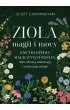 Zioła magii i mocy. Encyklopedia magicznych roślin, które chronią, uzdrawiają i oczyszczają energię – Scott Cunningham – okładka ebook