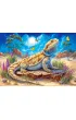 Puzzle 500 el. The Lizard King CASTORLAND  B-54206