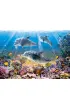 Puzzle 500 el. Podwodne delfiny Castorland