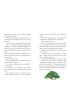 Ksi��ka B5 OP. TW Ilustrowana Biblia dla dzieci SKRZAT 79975 SK