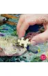 Puzzle 500 el. Living Reef CherryPazzi