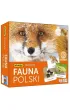 Memory. Fauna Polski Adamigo