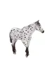 Figurka Ko� Appaloosa ogier