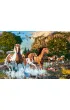 Puzzle 1000 el. Horse Wonderland Castorland