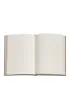 Paperblanks Notatnik Daphnis Mini linia