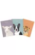 Top-2000 Zeszyt Sweet Animal A4 czysty 60 kartek