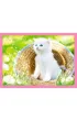 Puzzle 4w1 - Zabawne kotki (35+48+54+70 el.) Trefl