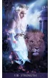 Tarot de la Nuit, Tarot Nocy