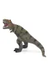 Dinozaur Tyranozaur Rex