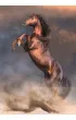 Puzzle 500 el. Wild Red Stallion Clementoni