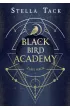 Zabij mrok. Black Bird Academy. Tom 1