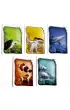 SeaLife - Podwodne �ycie - planszowa gra DVD