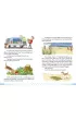 Harry the Dog`s adventures. Czytanki i �wiczenia w j�zyku angielskim dla dzieci. Poziom A1