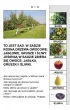 Funkcjonowanie osobiste i spo�eczne. Karty pracy dla uczni�w z niepe�nosprawno�ci� intelektualn�. Jesie�