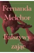 Fa�szywy zaj�c