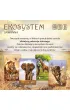Ekosystem 3 &ndash; Sawanna