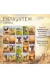 Ekosystem 3 &ndash; Sawanna