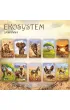 Ekosystem 3 &ndash; Sawanna