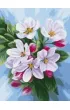 Ideyka Malowanie po numerach - Kwitni�cie jab�oni 30x40cm