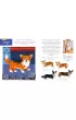 Ma�y atlas ps�w i szczeniak�w Ewy i Paw�a Pawlak�w