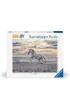 Puzzle 500 el. 2D Galop na pla�y Ravensburger