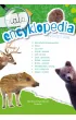 Ma�a encyklopedia. Zwierz�ta le�ne