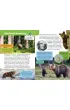 Ma�a encyklopedia. Zwierz�ta le�ne