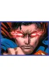 Puzzle 4x250 el. Odwaga Supermana Trefl