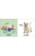 Baby Touch and Feel Animals.  wer. angielska
