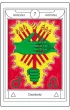 Magiczny Tarot Zakonu Z�otego Brzasku