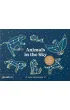 Animals in the Sky