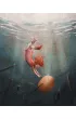 Po�yczalscy na wyspie