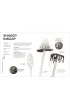 RHS Fungi for Gardeners