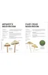 RHS Fungi for Gardeners