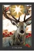 Guardian of the Night Tarot