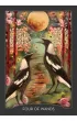 Guardian of the Night Tarot