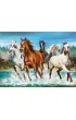 Puzzle 2000 el. Call of Nature Castorland