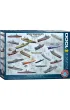 Puzzle 1000 el. Statki Eurographics