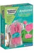 Anatomia zestaw kreatywny Clementoni