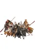 Zombicide. Czarna Plaga