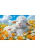 Puzzle 60 el. Sweet Dreams Castorland