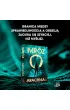 Arachnia. Langer. Tom 4