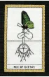 The Butterfly Wisdom Tarot, Tarot M�dro�ci Motyla, karty do wr�enia