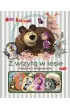 Masza i Nied�wied�. Z wizyt� w lesie. Ksi��ka z magnesami