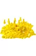 Pionki do gry z gwk - te Plastic Polska