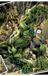 Marvel Fresh Nie�miertelny Hulk. Tom 2